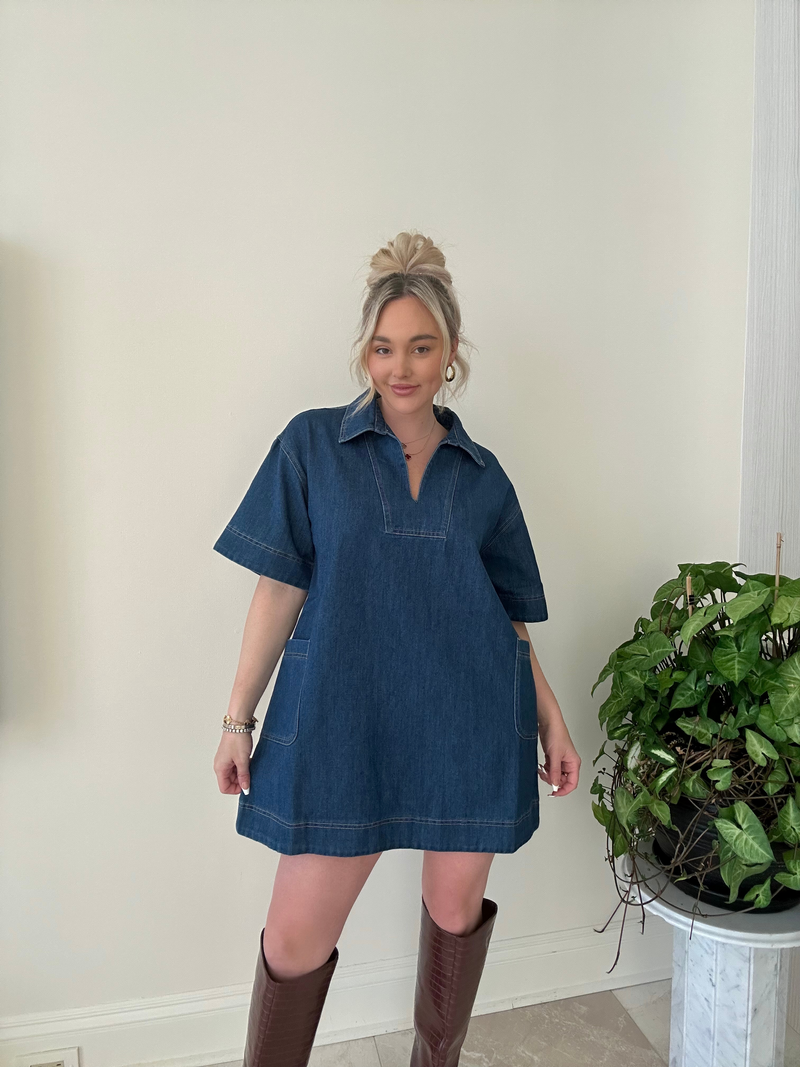 Denim Dreams Mini Dress